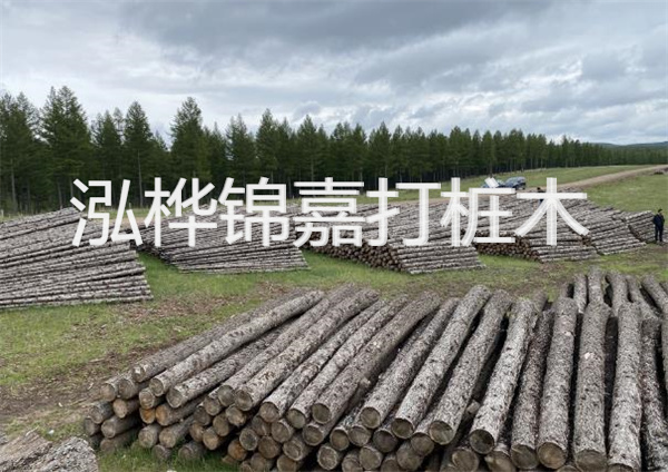 鋼結(jié)構(gòu)施工方案大全免費(fèi)提供，助力工程建設(shè)