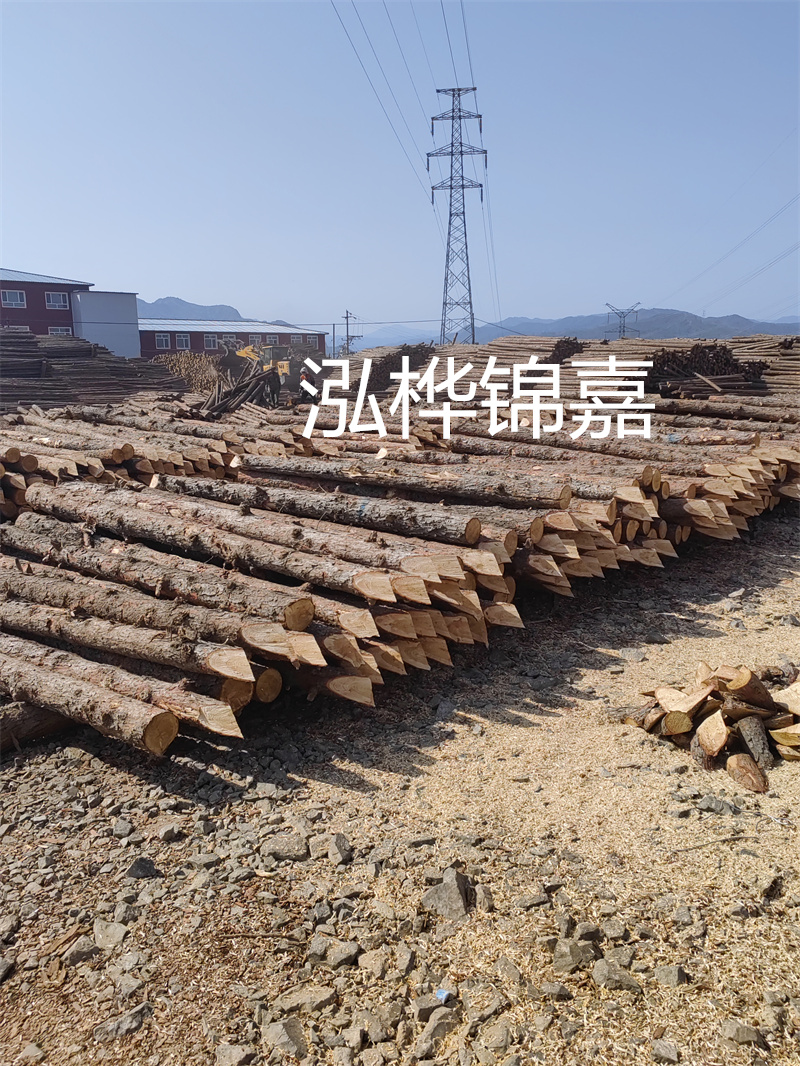 打造環(huán)保耐用的樹脂瓦四坡屋頂，追求高品質(zhì)居住體驗(yàn)